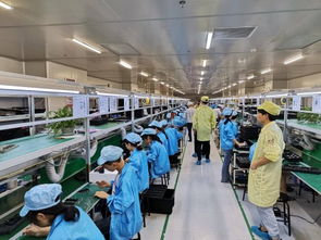 深圳赛博华宇携手苏宁拼拼工厂 以技术服务驱动百万销量目标