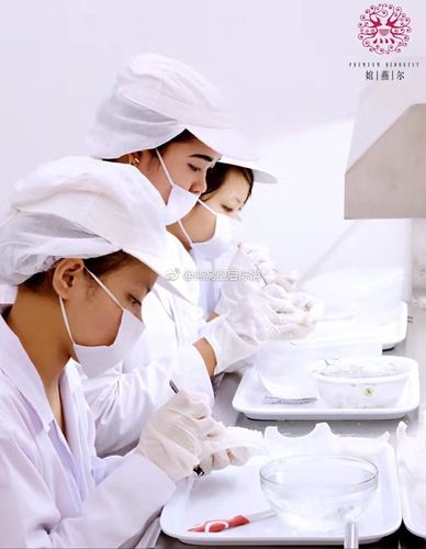 极致自然·官燕儿 武汉市场技术推广营销策划案